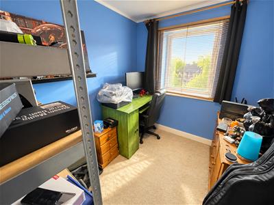 Picture 12